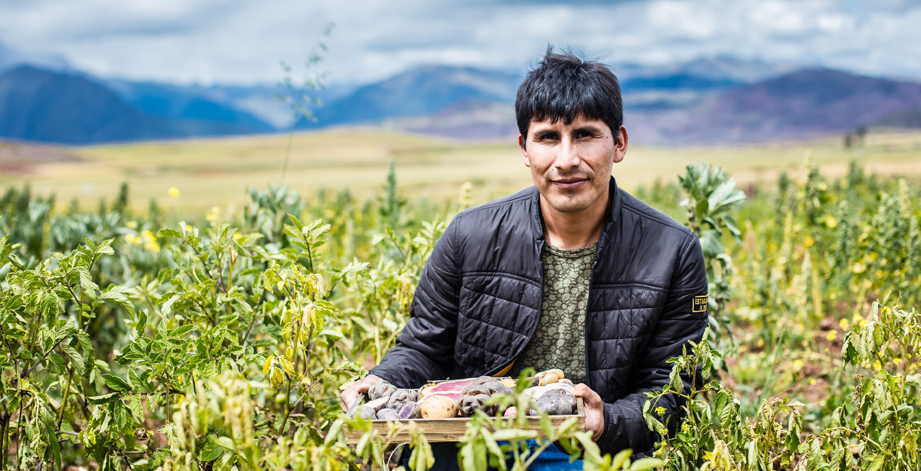 How Peru is Keeping GMOs out of Its Soils