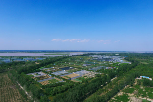 birdview of the farm