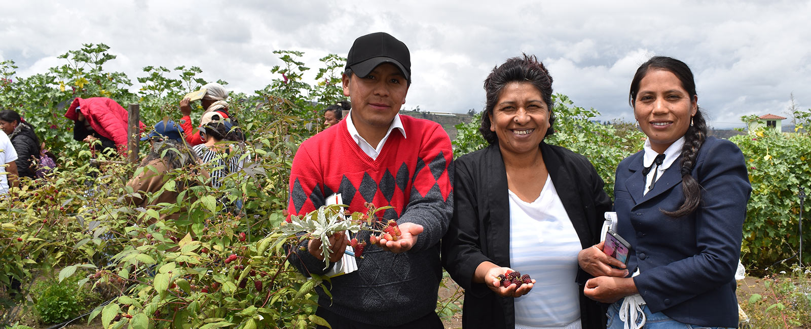 How Organic Agriculture is Transforming Lives in Ecuador