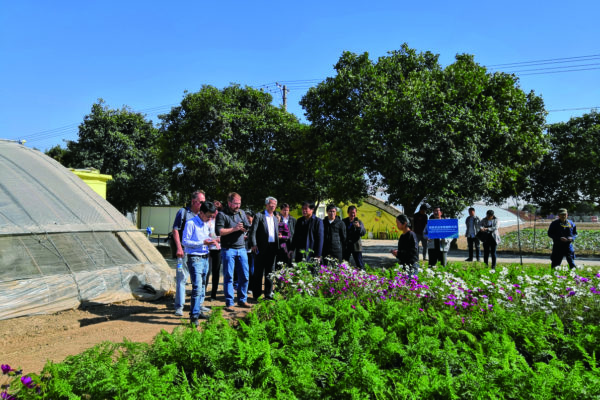 Wildflower strips to reduce pests in carrots，a field trip for the delegate of IFOAM asia conference 2